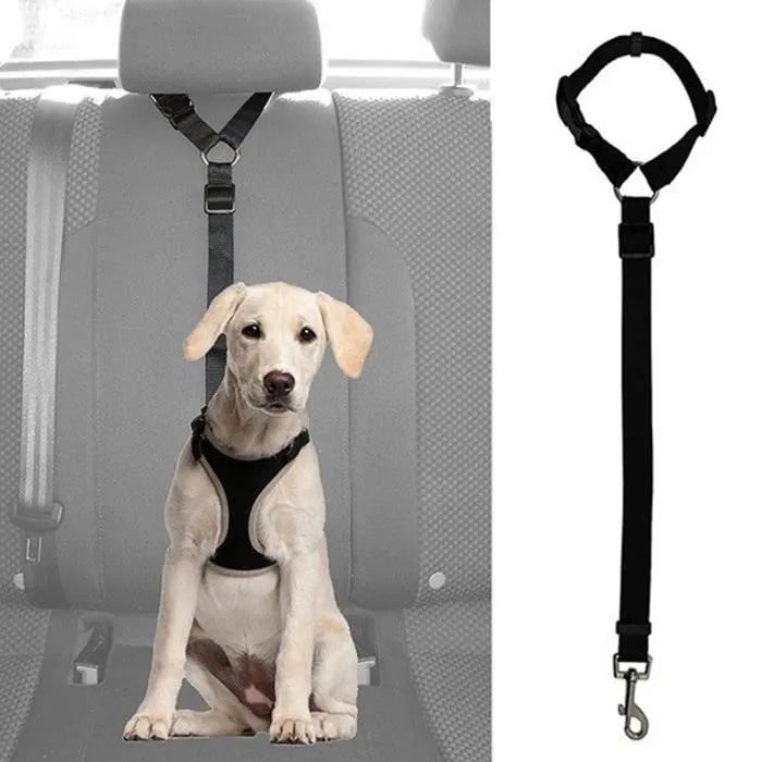 Ceinture de Sécurité Réglable pour Chien – Laisse de Voiture en Nylon